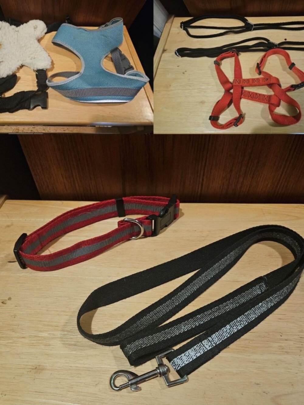 Dog Harnesses, Collar and Leash for mid sized dog (beagle)